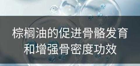 棕榈油的促进骨骼发育和增强骨密度功效